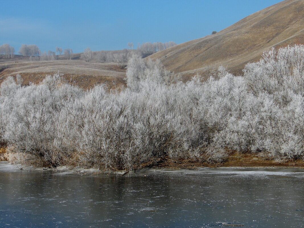 А здесь морозец пошалил. - nadyasilyuk Вознюк