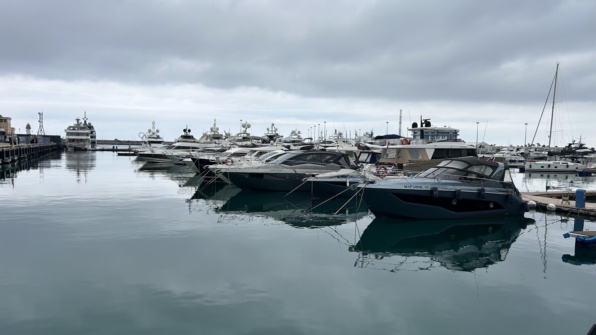 Морпорт Сочи - Светлана Ященко