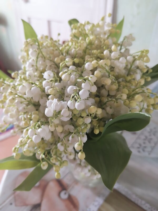 *** - Зоя Мишина