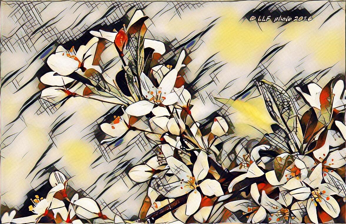 Цветушая ветка - Liudmila LLF