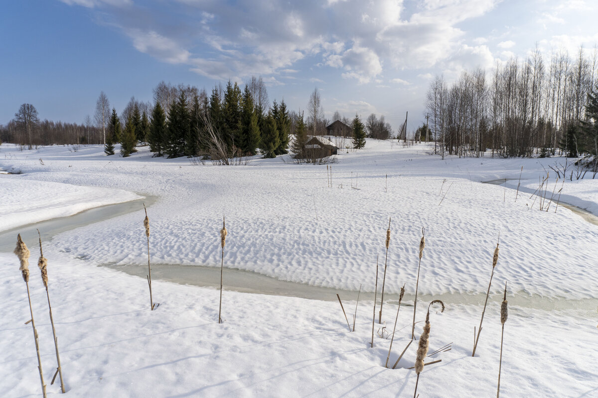 Весеннее пробуждение - Сергей Ц