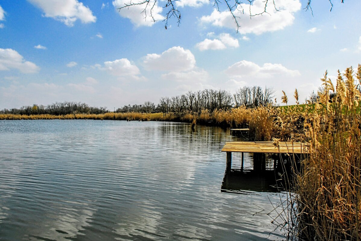 Весна. - Владимир 