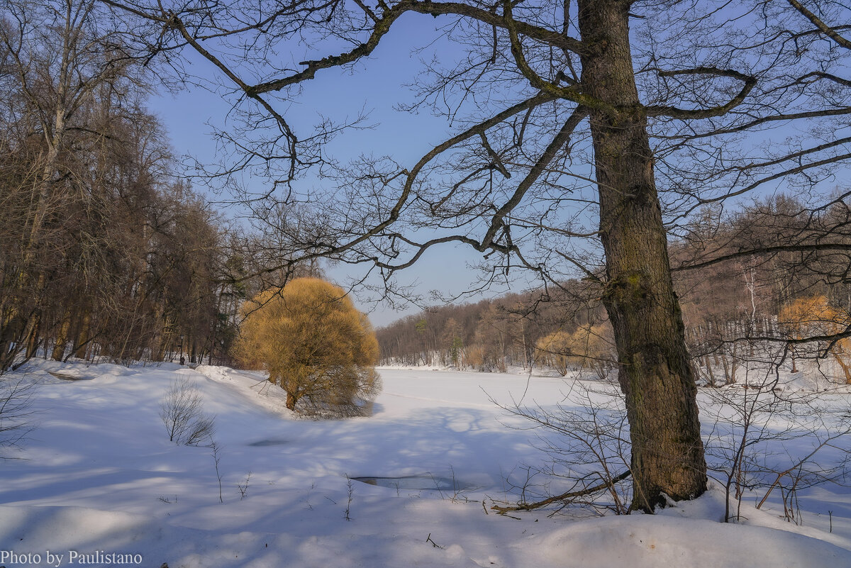 Март в Царицыно... - Владимир Жданов