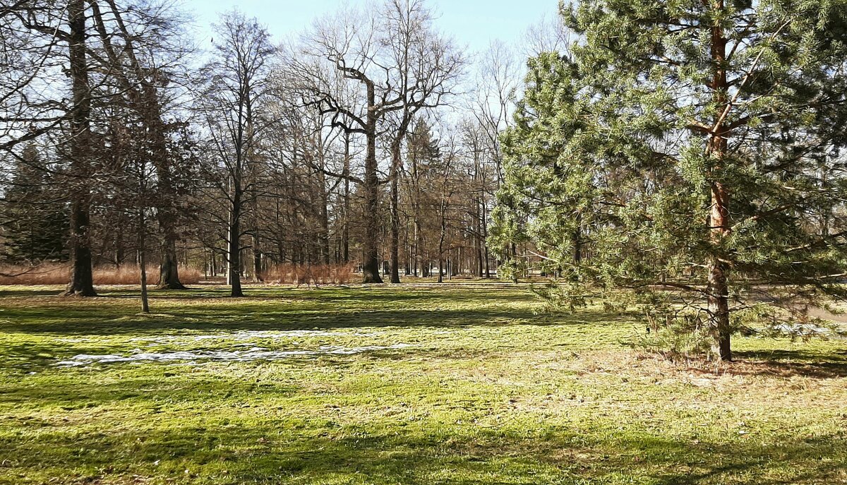 Парк Александрия. Март - Наталья Герасимова