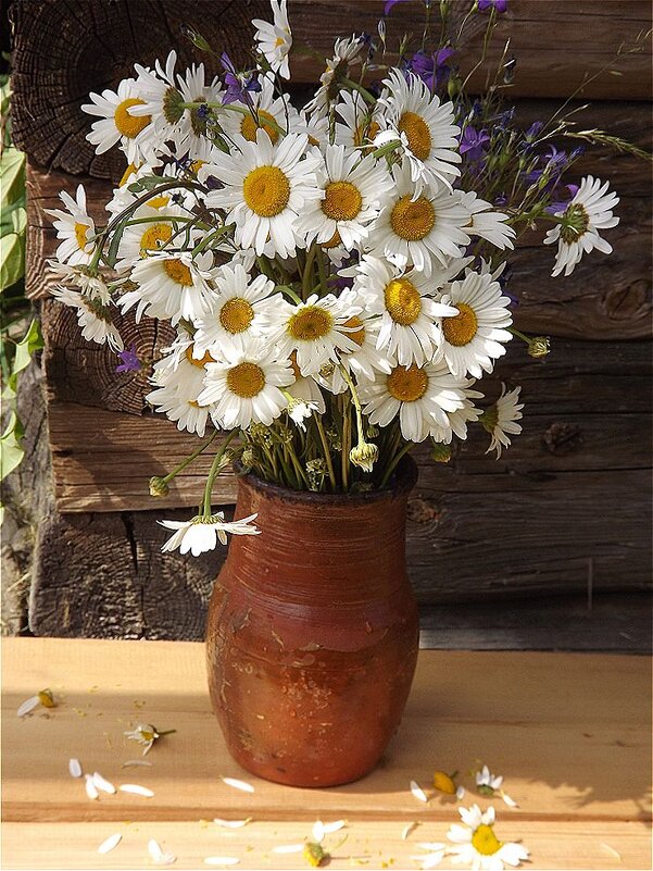 Букет полевых цветов! - Нина Андронова