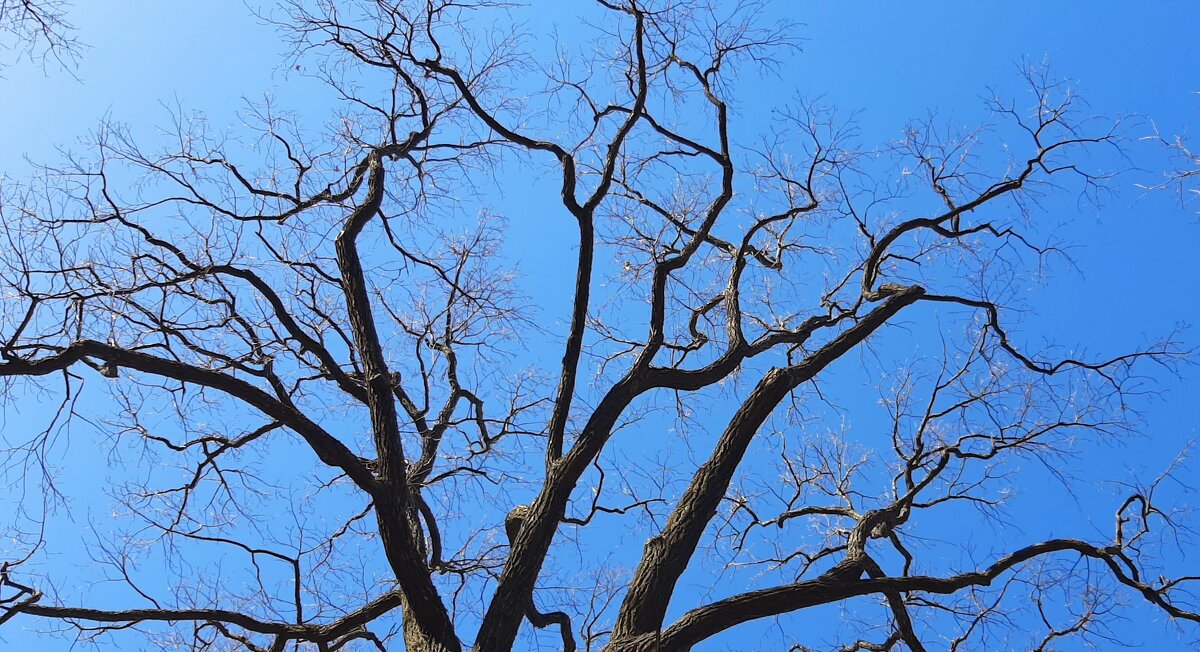 Весеннее небо - Наталья Герасимова
