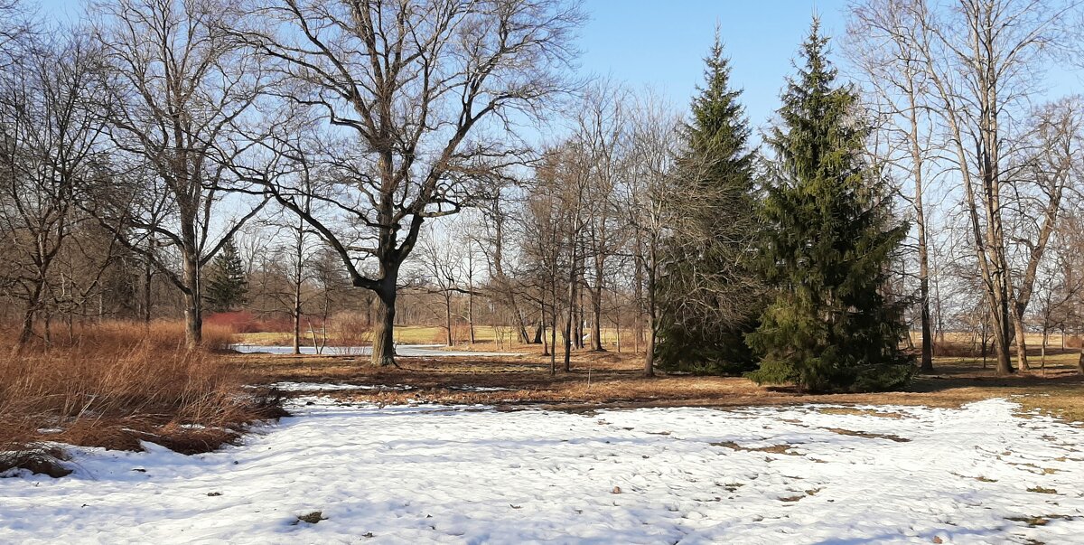 Парк Александрия. Март - Наталья Герасимова