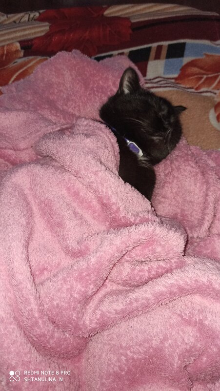 не мешайте спать - Наталья Штанулина