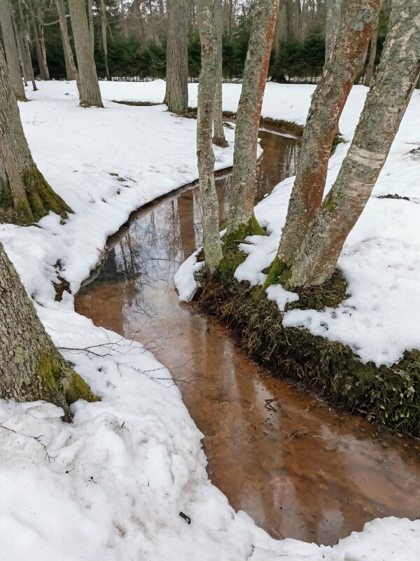 Прогулка в Нарва-Йыэсу - Veera V
