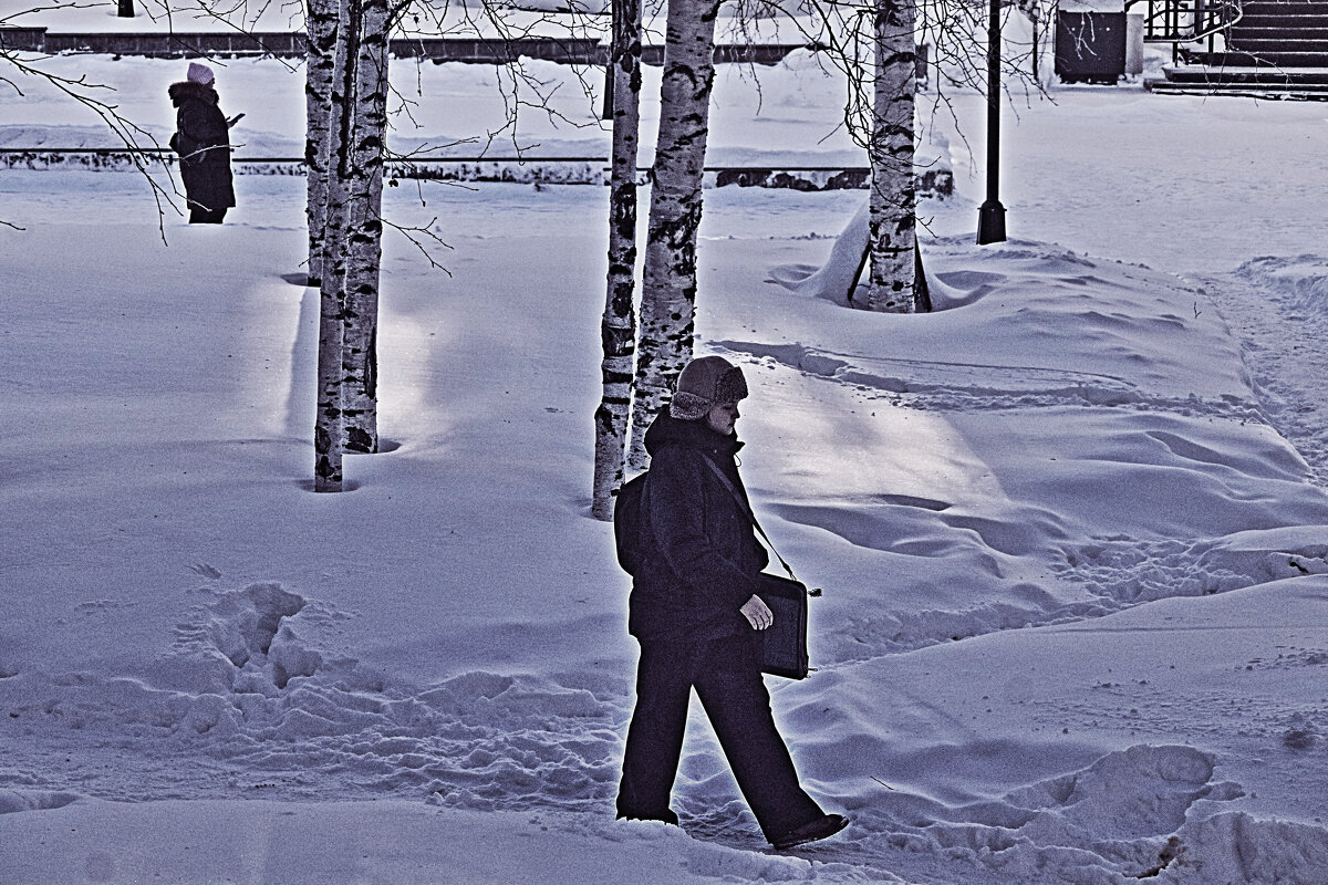 Март...Солнечные пятна на снегу! - Владимир 