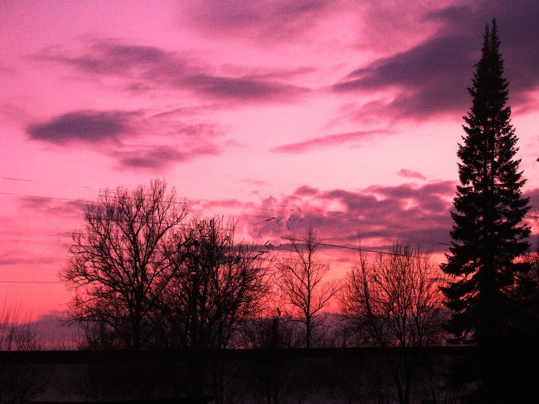 Красивый вечер - Людмила Смородинская