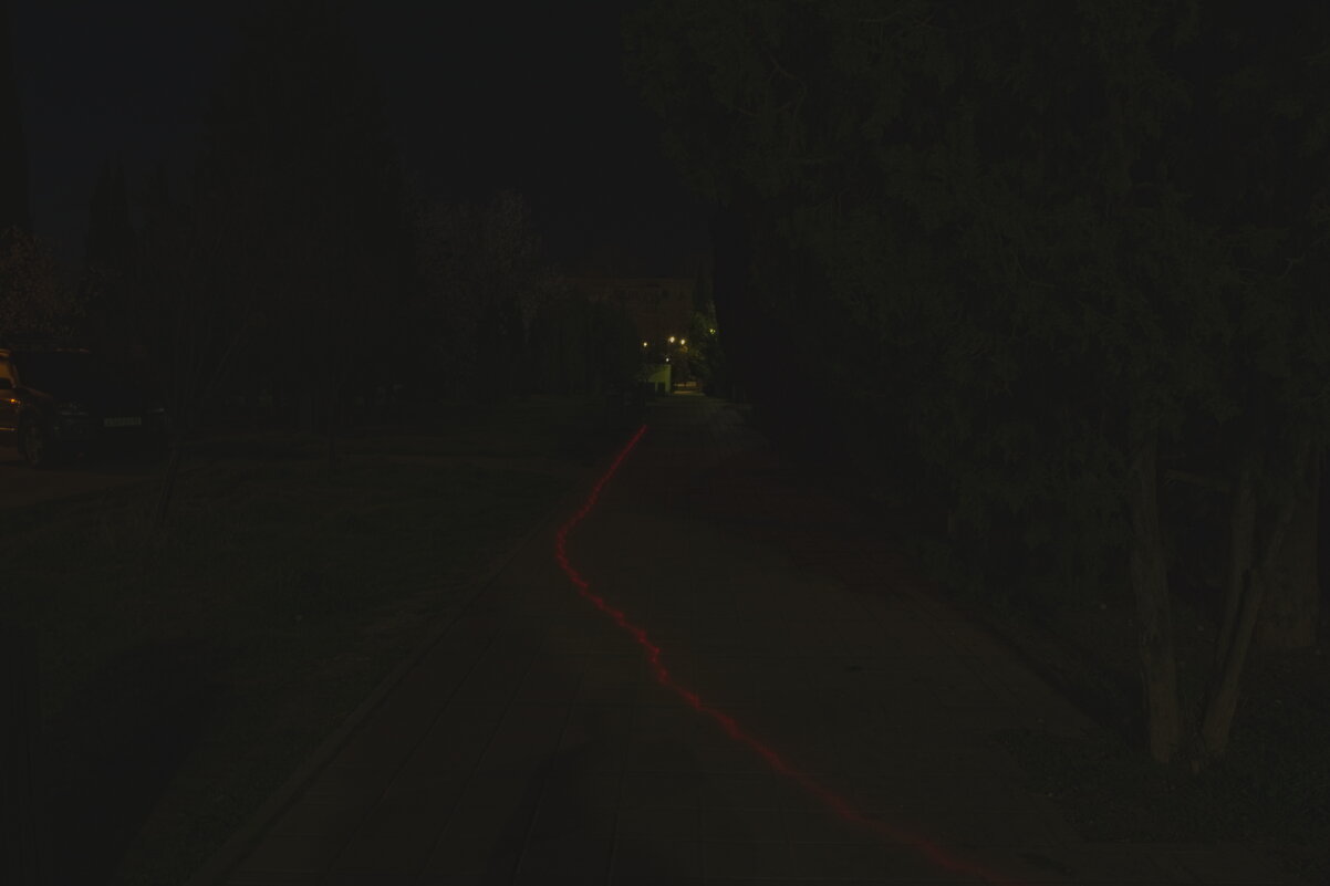 Невидимый питомец ))) - Giant Tao /