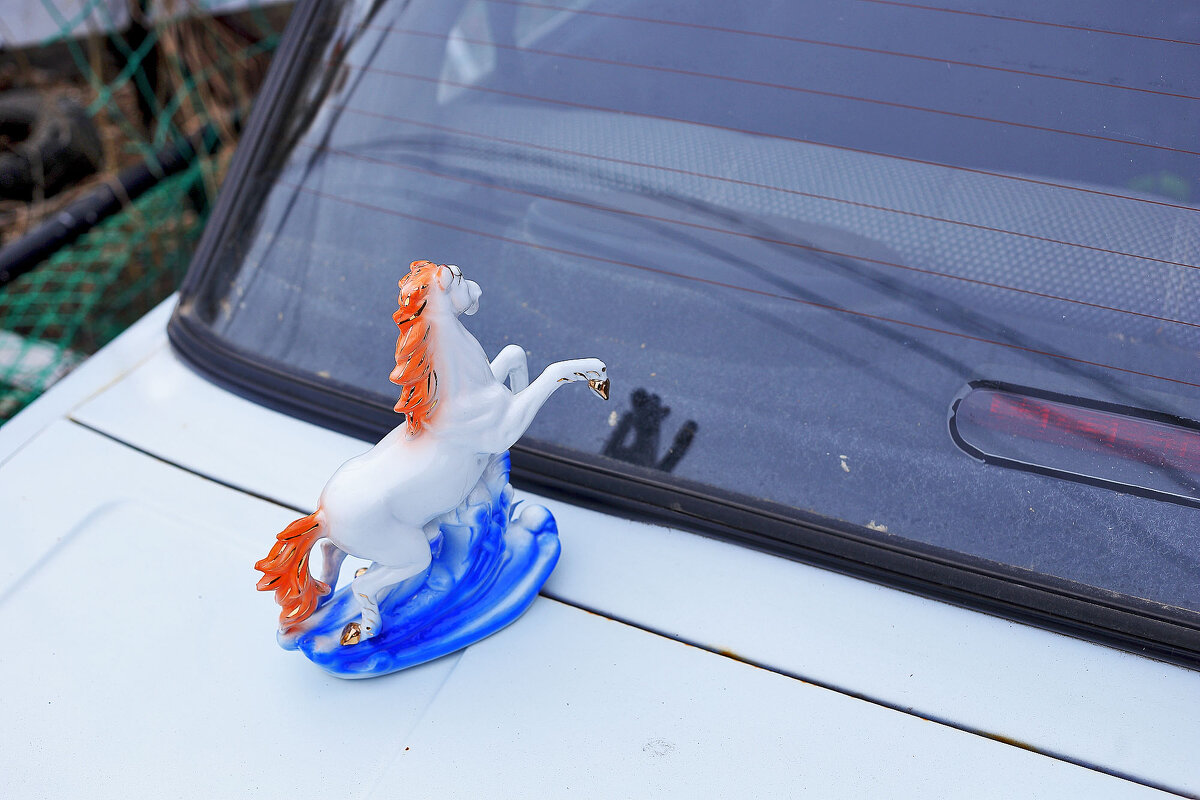 Конь - Юрий Гайворонскiий