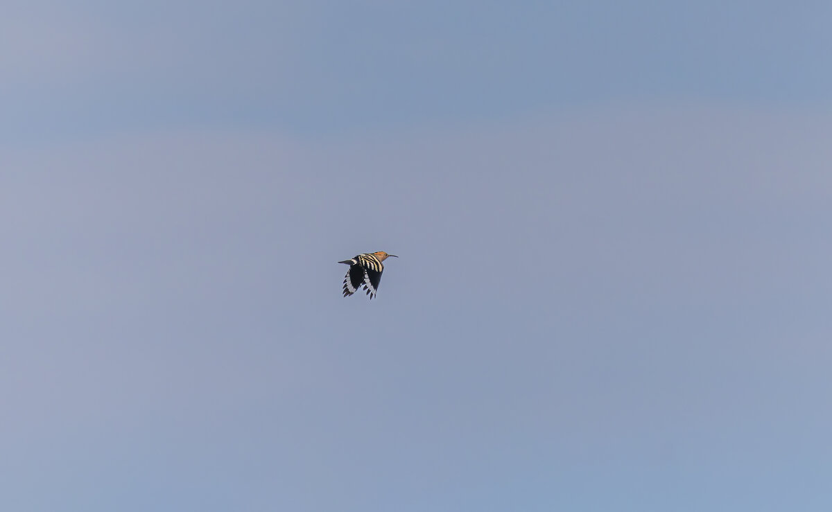 удот - юрий макаров