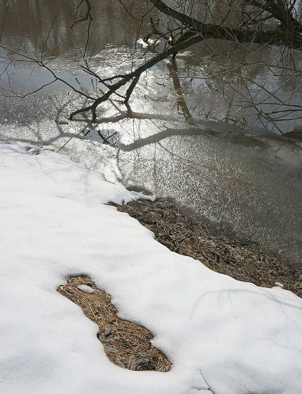 Весенний натюрморт - Сергей Курников