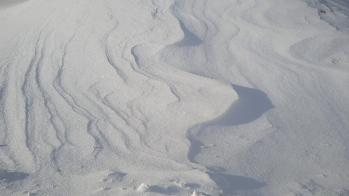 февральское - Елена Шаламова