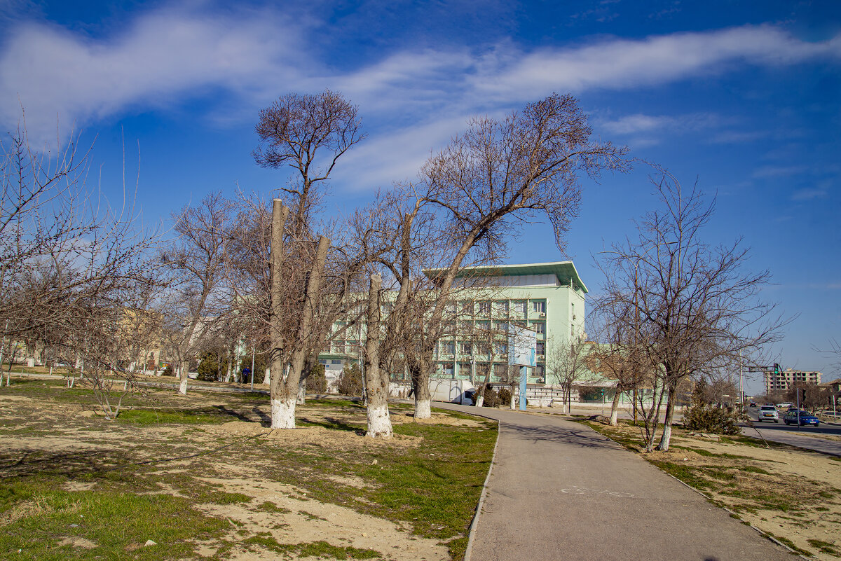 Старый Актау - Анатолий Чикчирный