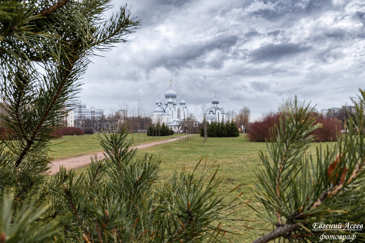 Петербургские зарисовки - Евгений 