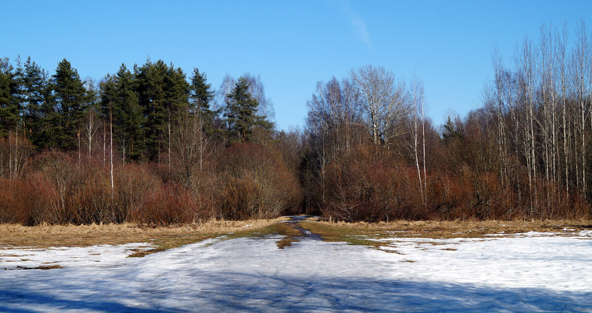 Последний снег - Иван Миронов