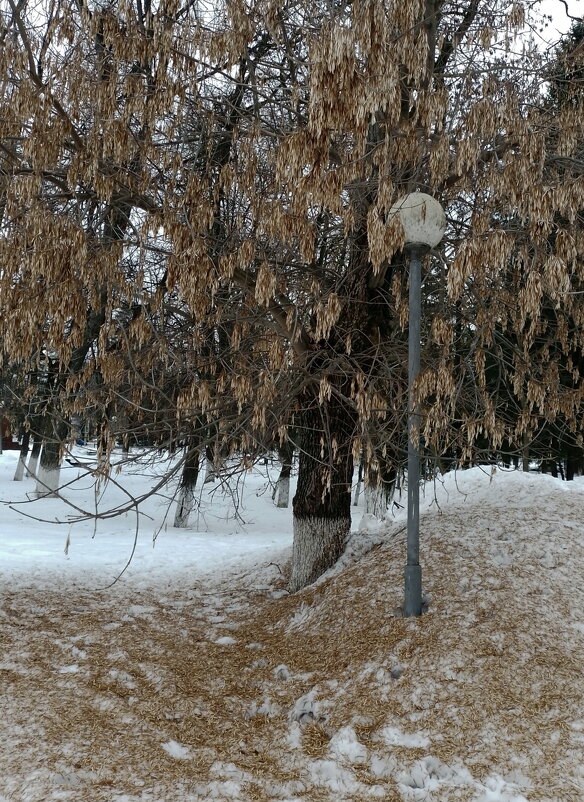*** - Валентина Береснева