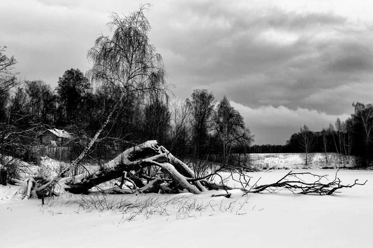 Домик   на окраине - Владимир Гришин
