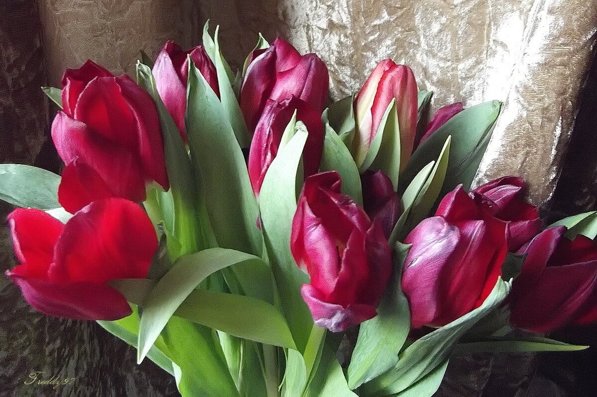 Букет - Freddy 97