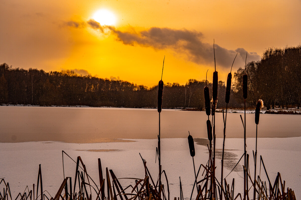 Академические пруды. Москва. - Александр Никифоров