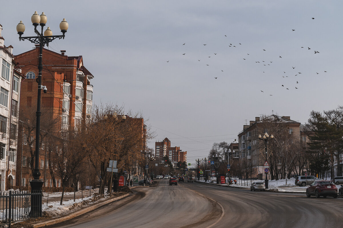 ... - Жора Житников