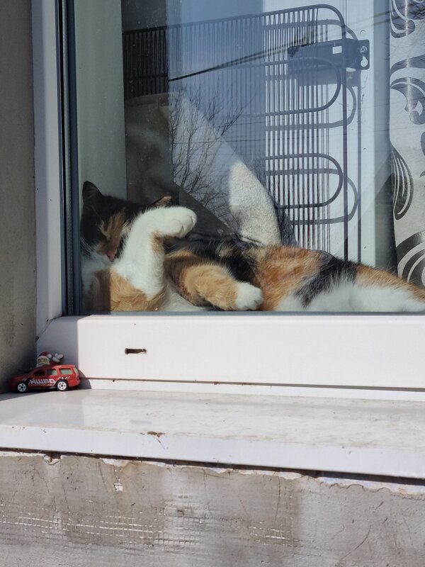 Послеобеденный отдых - Наталья 