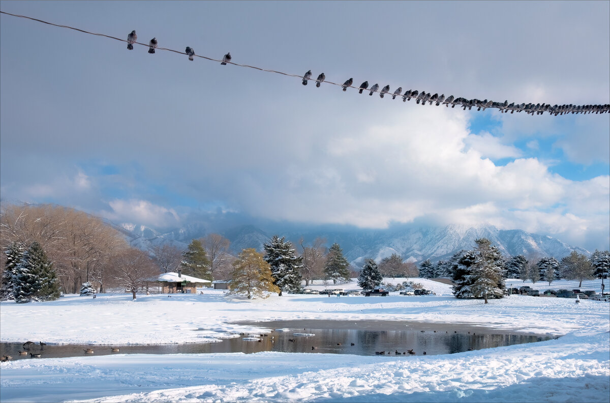 Мороз и солнце - **** vedin
