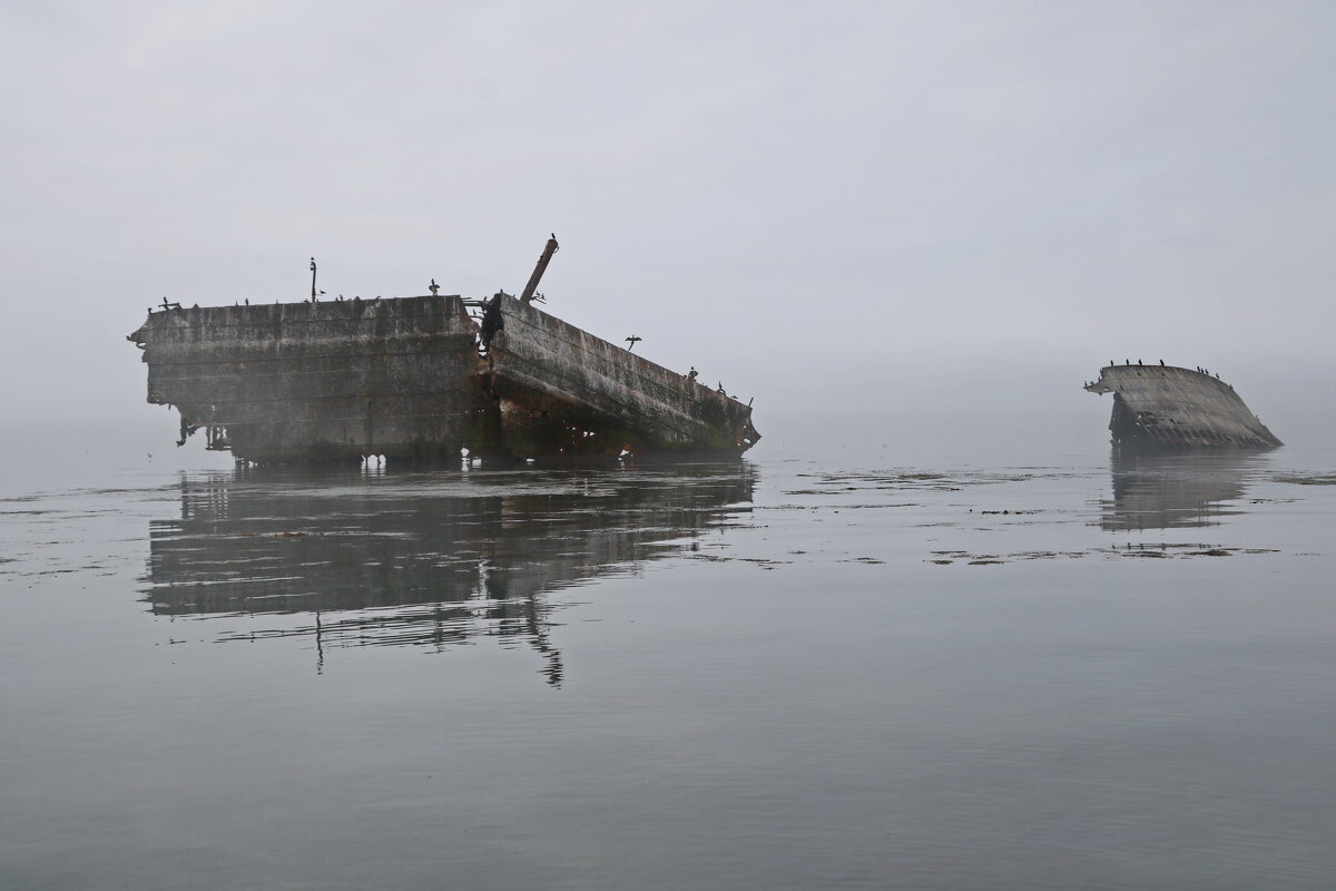 Корабль "Луга", - Ирина Нафаня