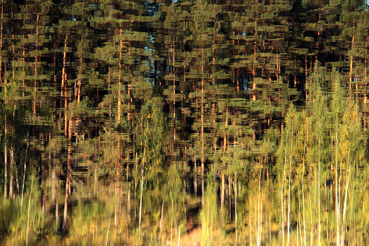 Живопись на водяном холсте - Сергей Сомихин