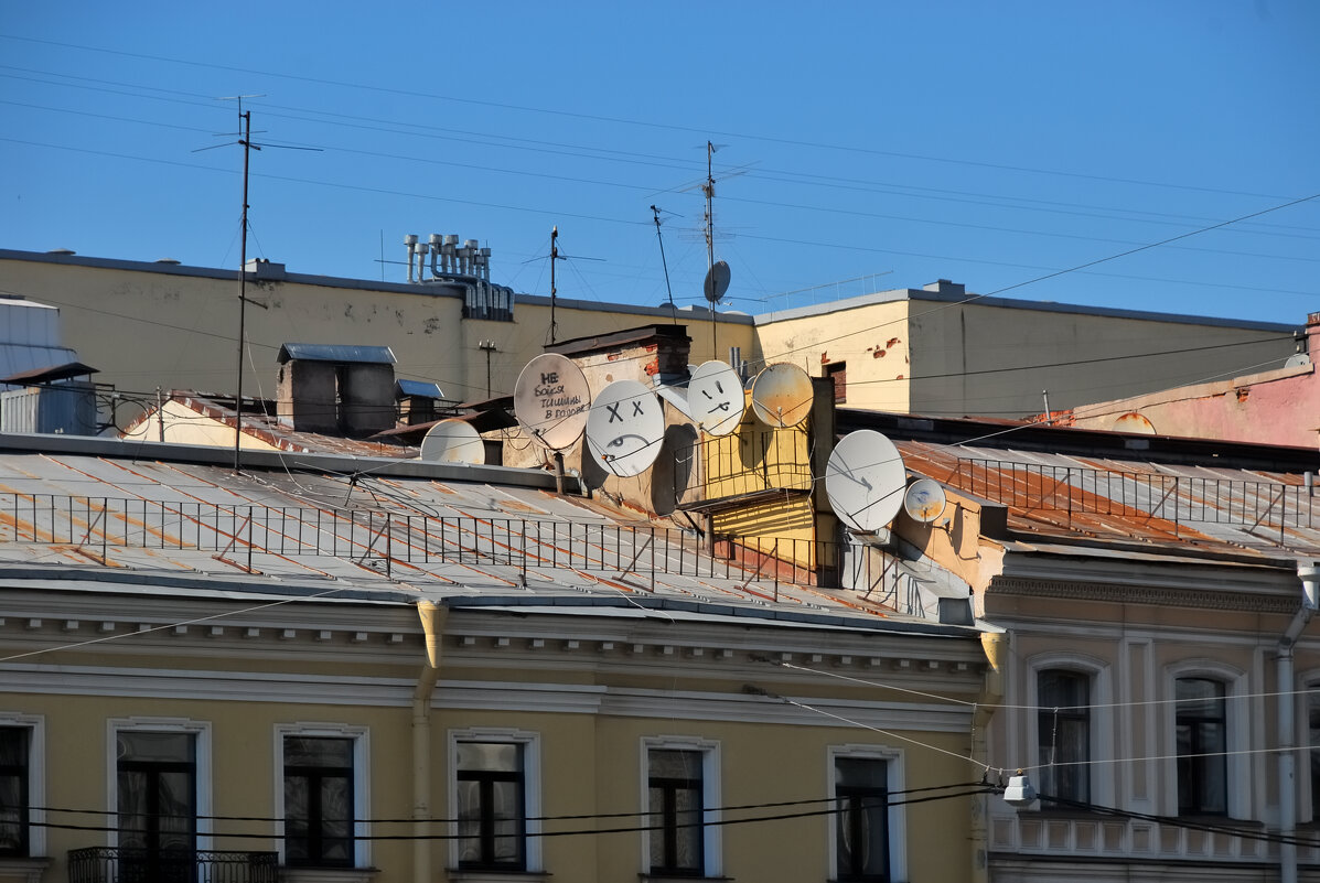 Питерские крыши - Евгений Екимов