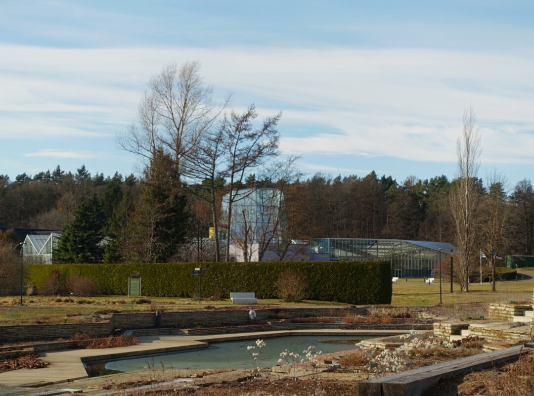 Ботанический сад Таллина - Aida10 