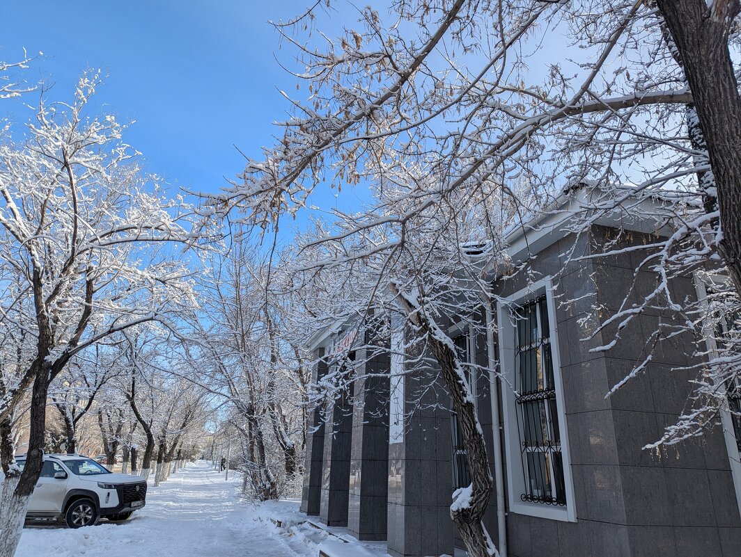 Зима,холода.... - Андрей Хлопонин