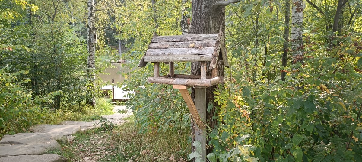 в заповедном лесопарке - Галина R...