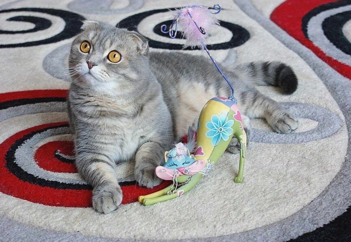 Тарас с гламурной кошечкой - Галина Нестратова