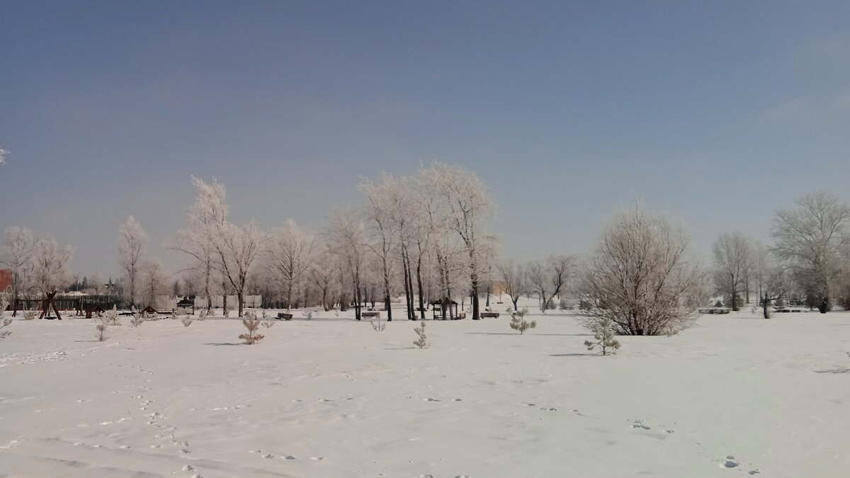 март в летнем парке - Елена Шаламова март в летнем парке - Елена Шаламова