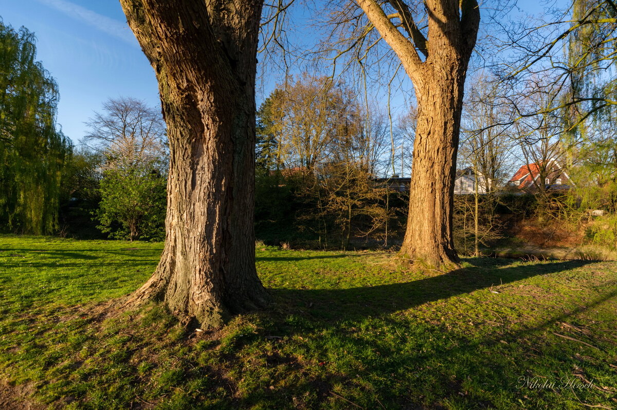 В чём сила, брат? - Николай Гирш