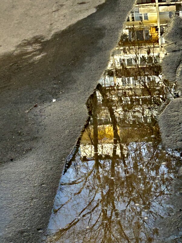 Дорога к дому - Натали 