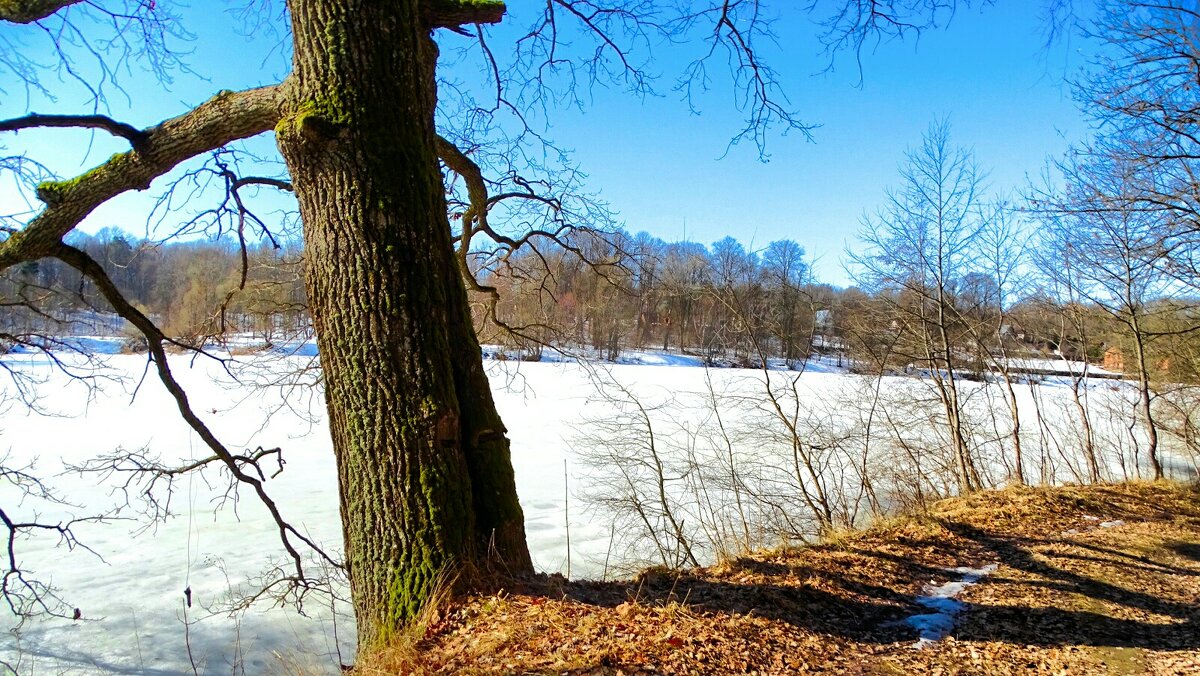 Весна в деревне. - Милешкин Владимир Алексеевич 