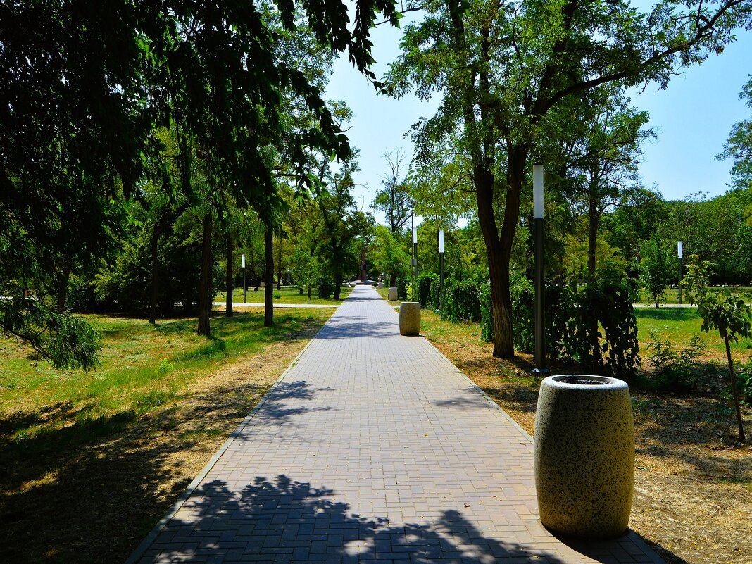 Керчь. Дорожка Комсомольского парка летом. - Пётр Чернега