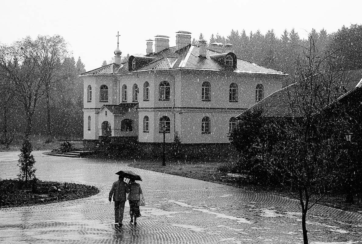 А просто летний дождь идет - Лариса С.