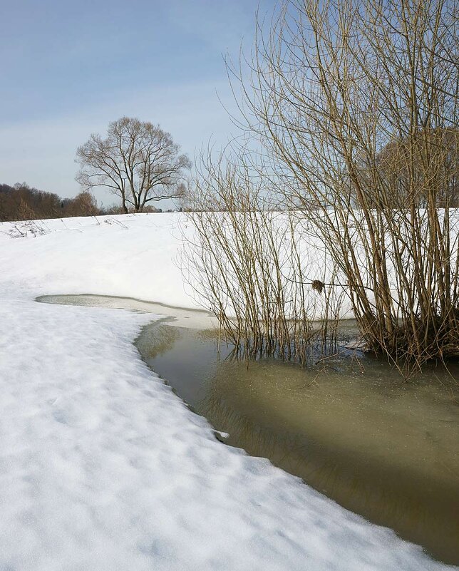 Весна идёт - Сергей Курников