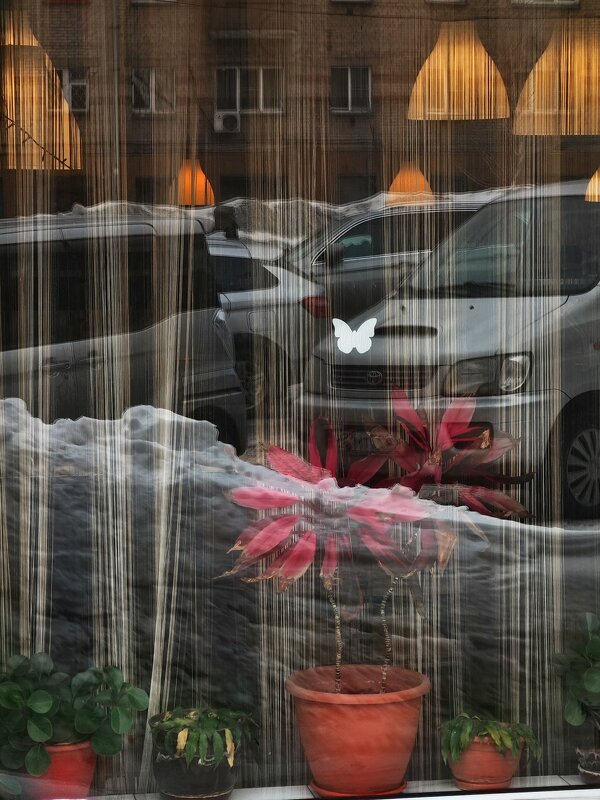 метафиика - Dmitry i Mary S