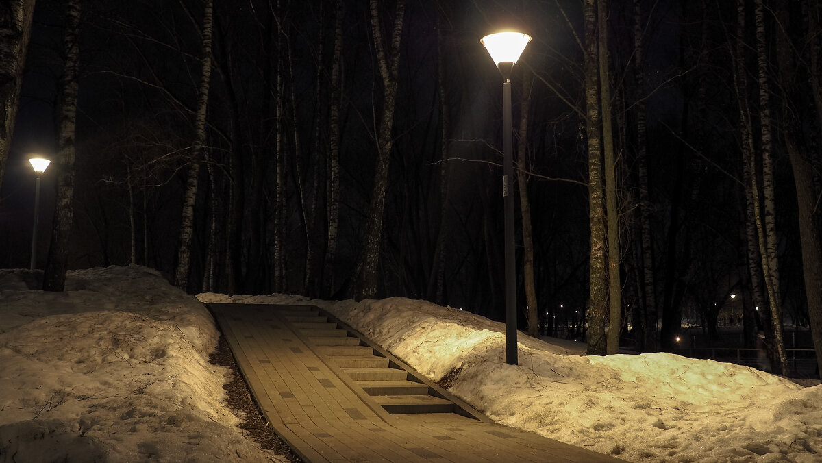 В Вечернем Парке - юрий поляков