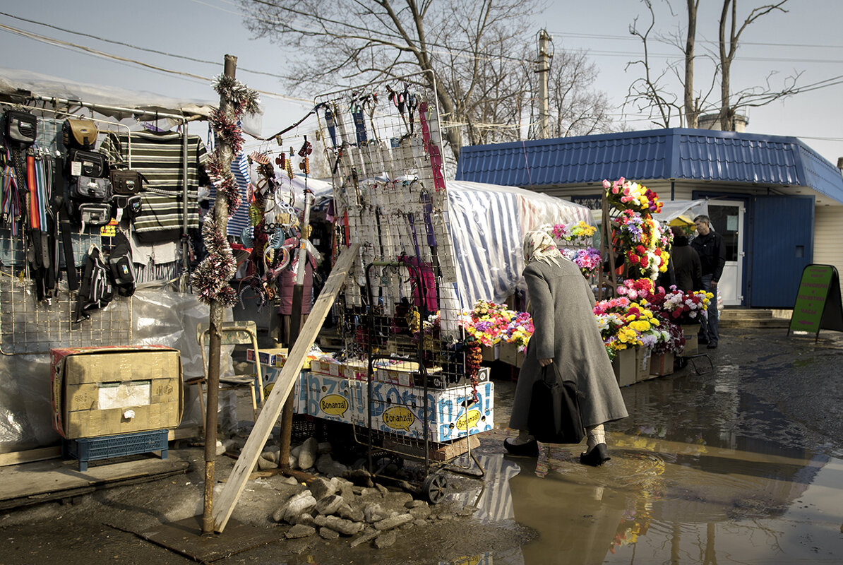 Из прошлых вёсен      2011 - Владимир Носов