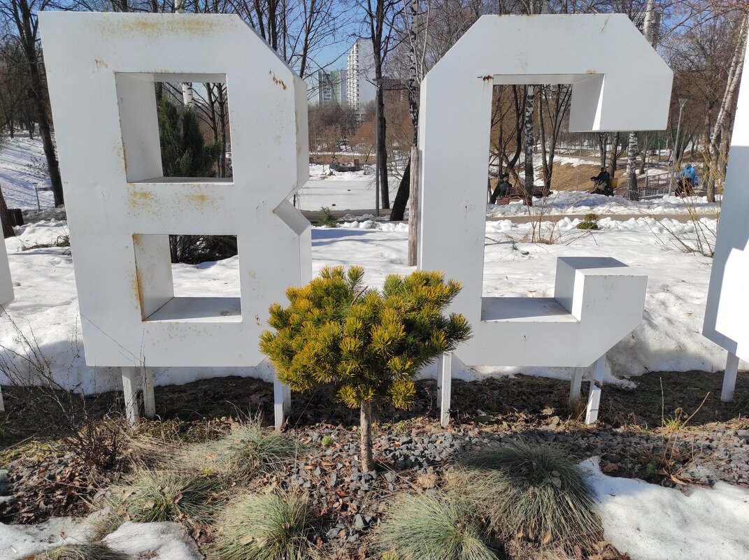 В пустыне чахлой и скупой.. - Игорь Ч.