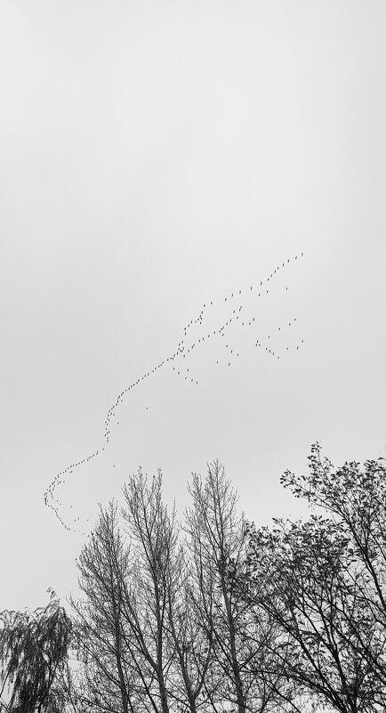 На юг - Tina Kott