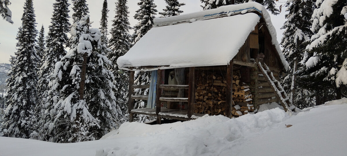 Баня - Радмир Арсеньев